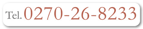 0270-26-8233
