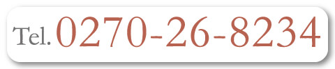 0270-26-8234